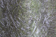Dane Street fibreglass roof work